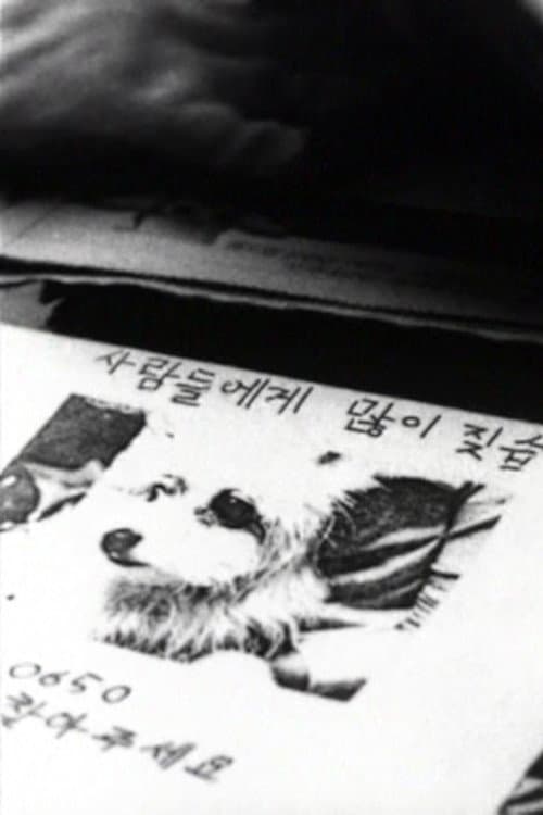Plakat: Doggy