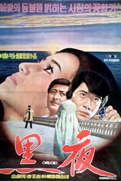 Plakat: Black Nights