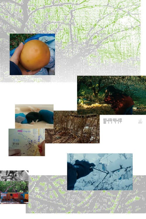 Plakat: A Pear Tree In The Star Village