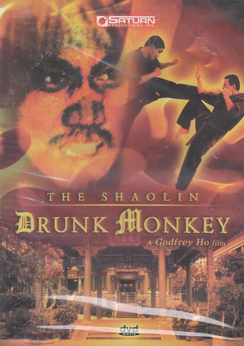 Plakat: The Shaolin Chief Cook