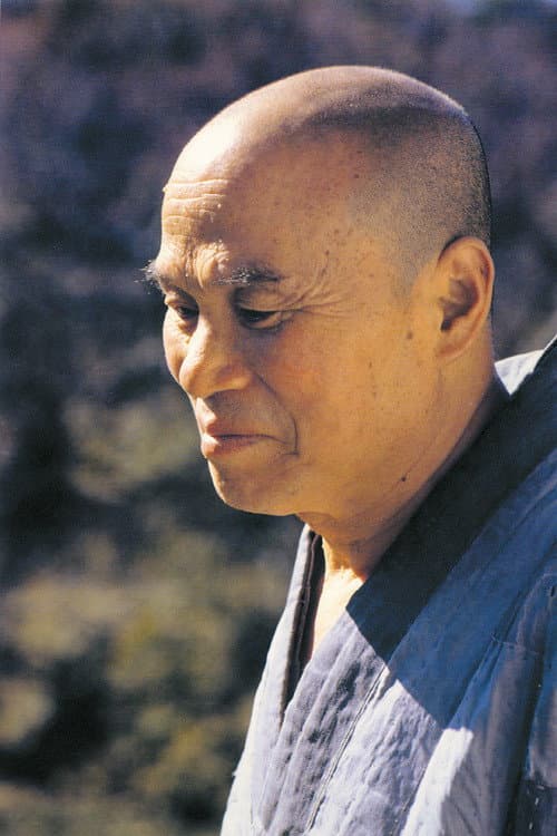 Plakat: Monk Seongcheol documentary