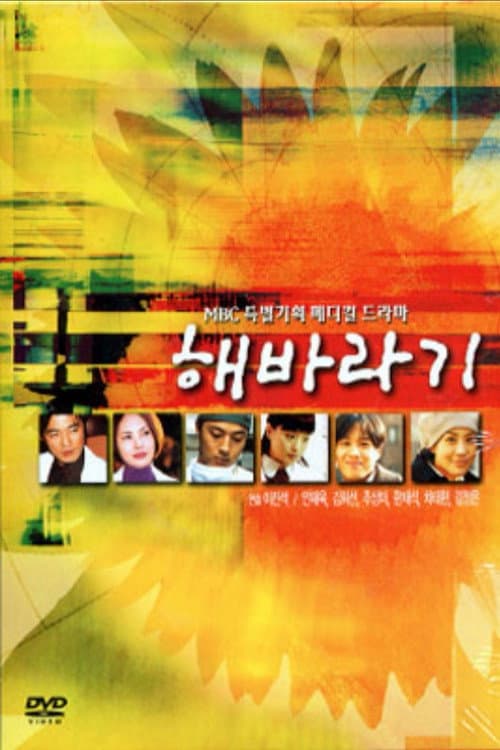 Plakat: Sunflower