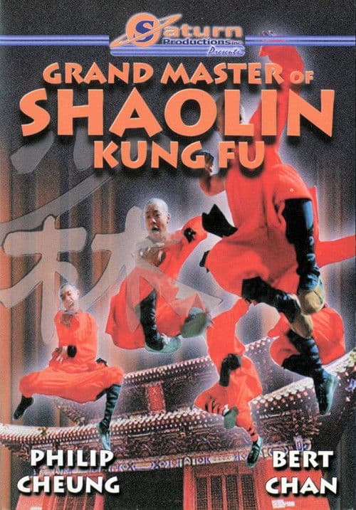 Plakat: The Divine Martial Arts Of Dharma
