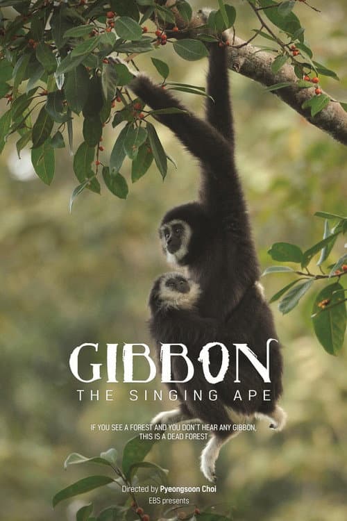 Plakat: The Singing Ape, Gibbon