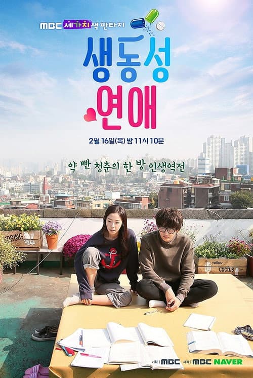 Plakat: Romance Full of Life
