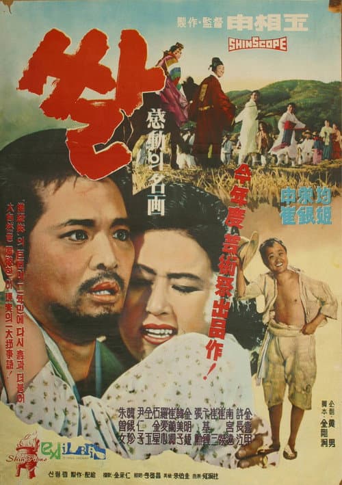 Plakat: Rice