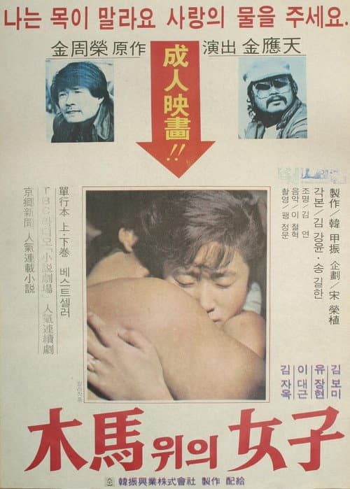 Plakat: The Woman On The Ferris Wheel