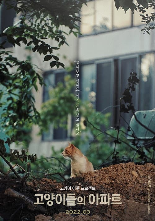Plakat: Cats' Apartment