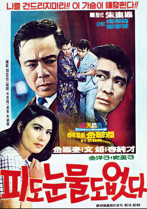 Plakat: Cruel Revenge
