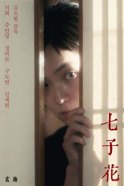 Plakat: MIDORI