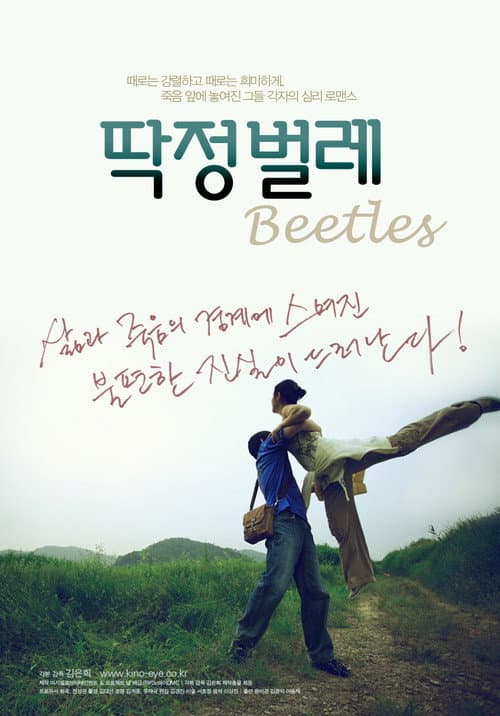 Plakat: Beetles