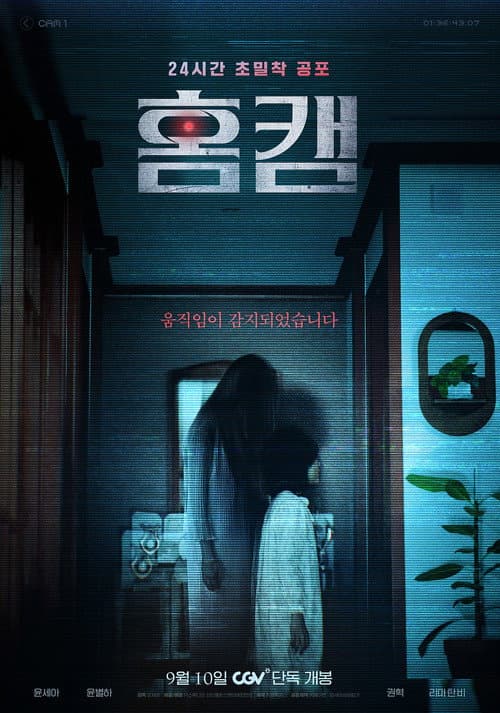Plakat: Homecam