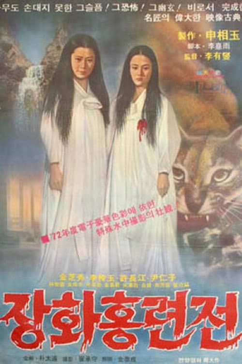 Plakat: A Story of Two Sisters