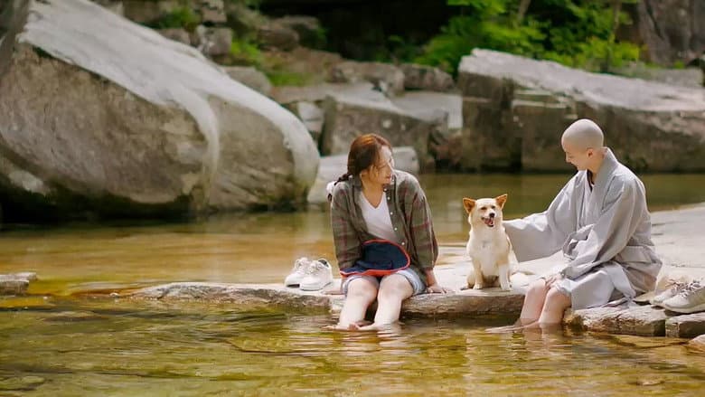 Kadr z Mungyeong: More than Roads