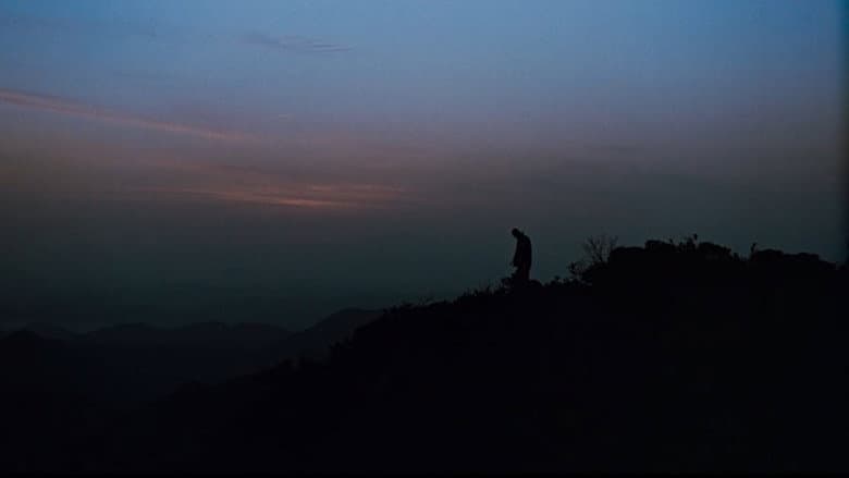 Kadr z Why Has Bodhi-Dharma Left for the East?