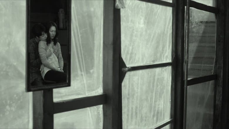 Kadr z A Quiet Dream