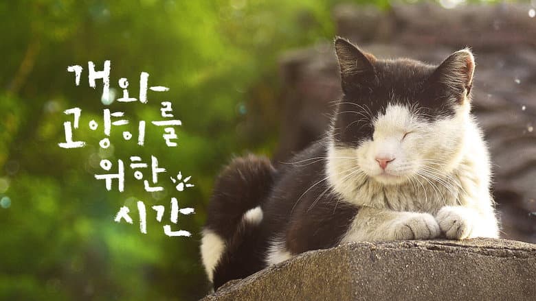 Kadr z A Time for Dogs and Cats
