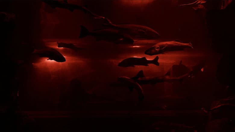Kadr z Red Wave​