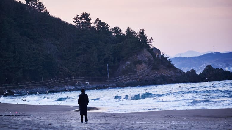 Kadr z Samotnie na plaży pod wieczór
