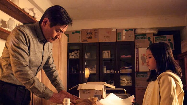 Kadr z Paper Flower