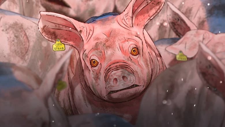 Kadr z Pig That Survived Foot-and-Mouth Disease