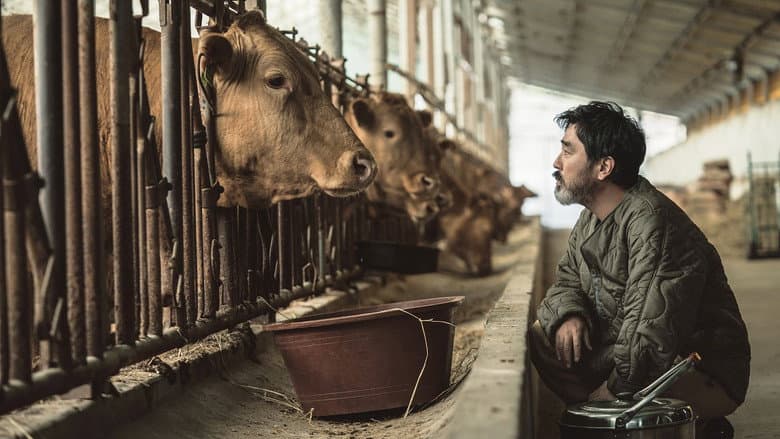 Kadr z Cattle Run