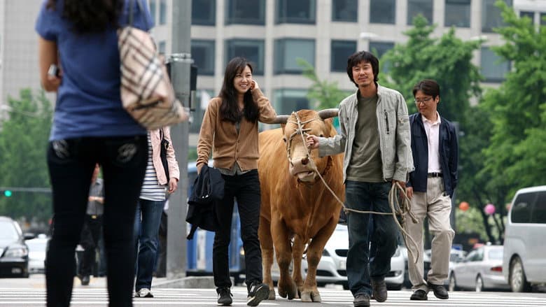 Kadr z Rolling Home with a Bull