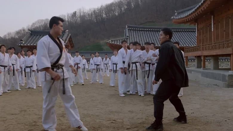 Kadr z Taekwon Fighter