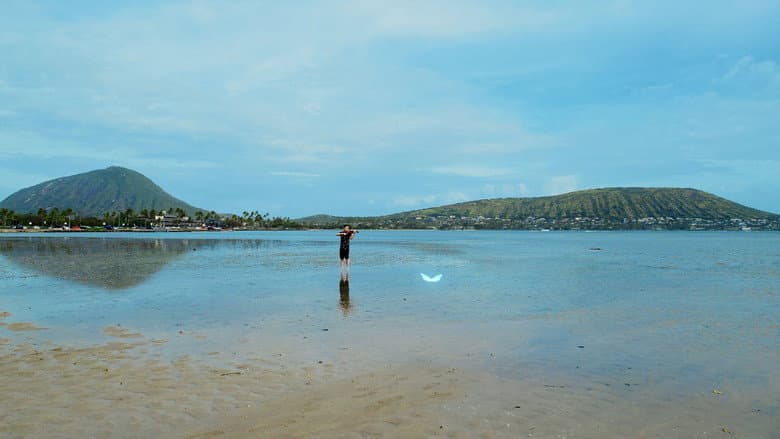Kadr z Songs of Love from Hawaii