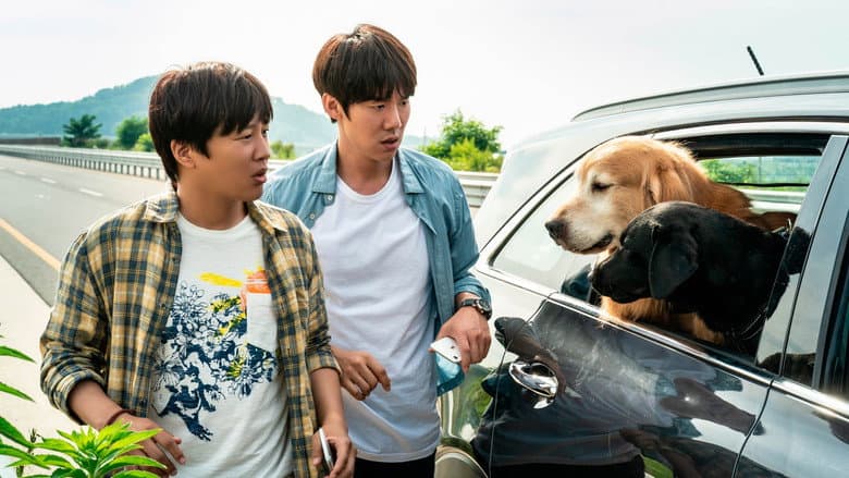 Kadr z My Heart Puppy