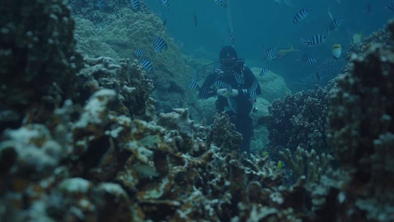 Kadr z The Young Man and the Deep Sea