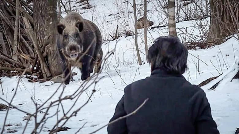 Kadr z Wild Boar Hunting