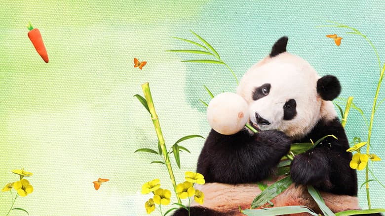 Kadr z My Dearest Fu Bao