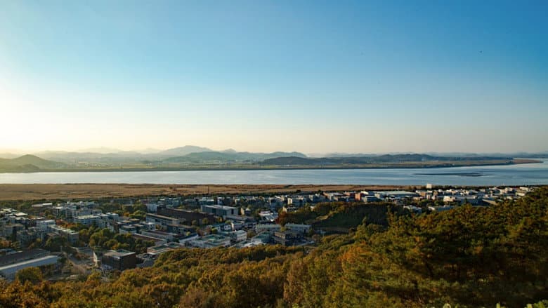 Kadr z Great Contract: Paju, Book, City