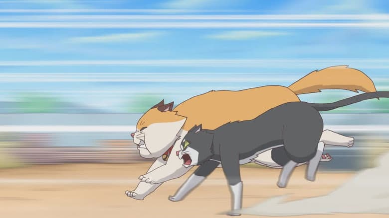 Kadr z Cats Run