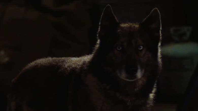 Kadr z Howling