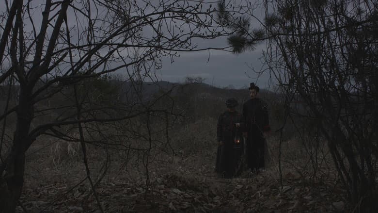 Kadr z The Pregnant Tree and the Goblin
