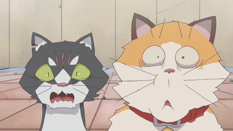 Kadr z Cats Run