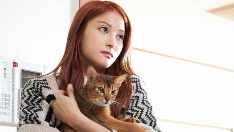 Kadr z How to Break up with My Cat