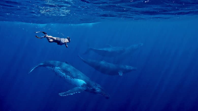 Kadr z Whales and I