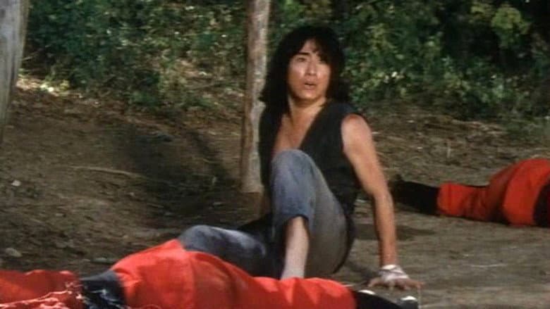 Kadr z Revenge of Drunken Master