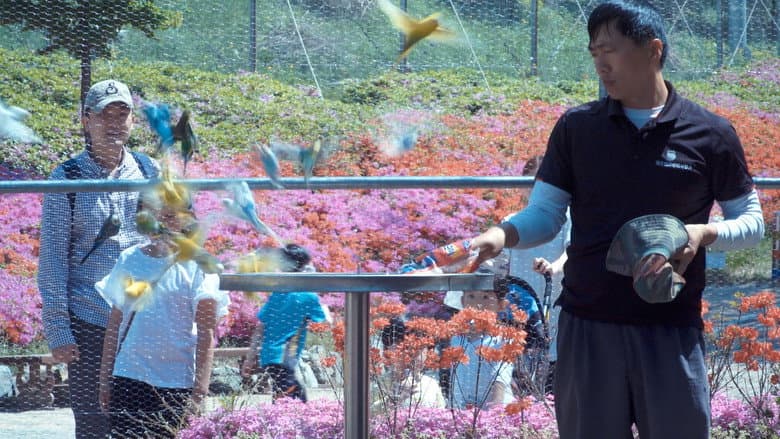 Kadr z Garden, Zoological