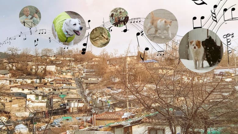 Kadr z A Time for Dogs and Cats