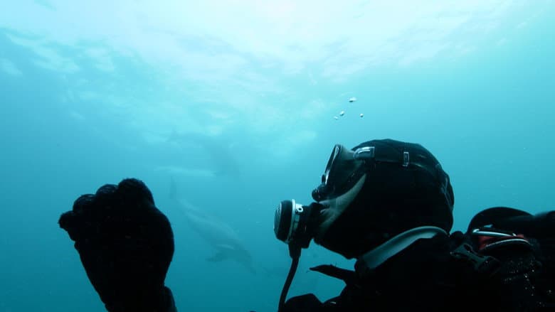 Kadr z Sea of Whales