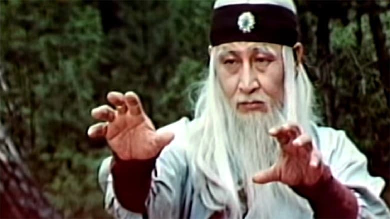 Kadr z The Divine Martial Arts Of Dharma