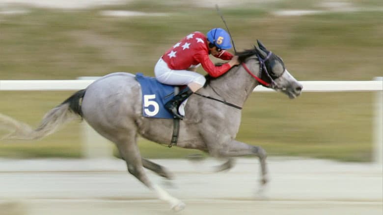 Kadr z Smiling Jockey