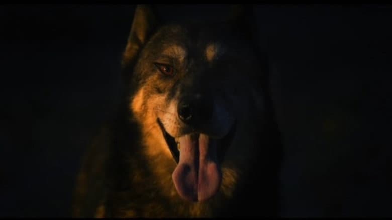 Kadr z The Dog in My Headlights