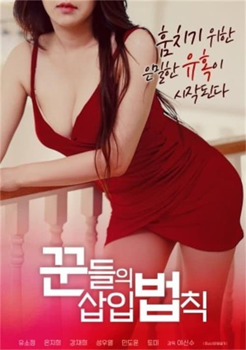Plakat: 꾼들의 삽입법칙