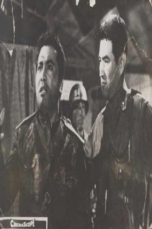 Plakat: North and South