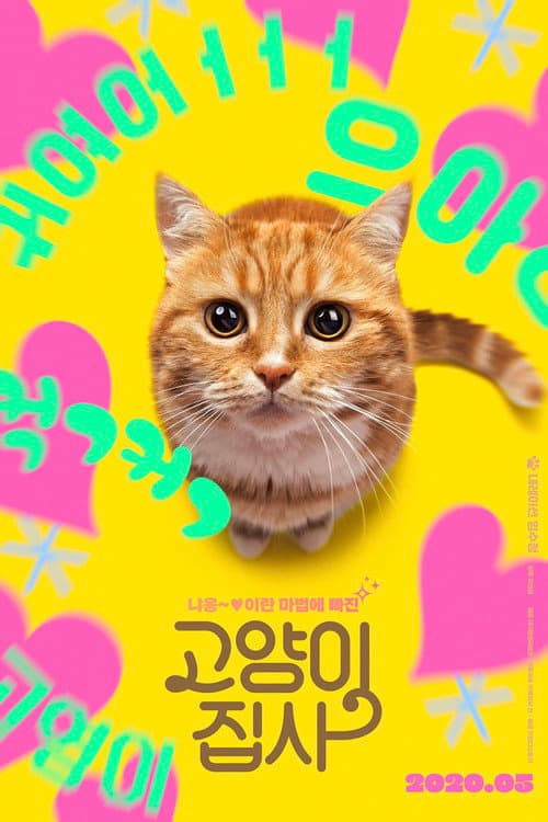 Plakat: Our Cat